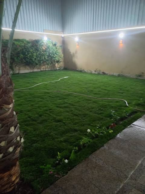 عشب طبيعي